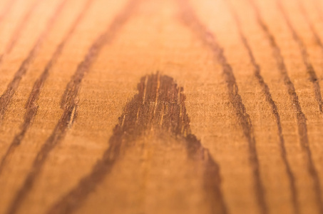 纹理的木制的松木板