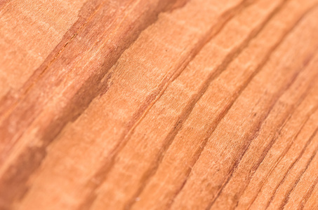 纹理的木制的松木板