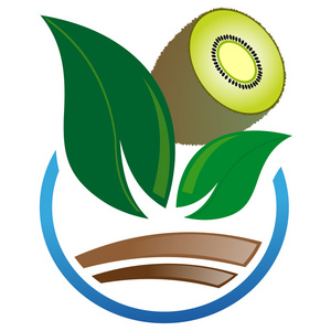 猕猴桃的图标图片