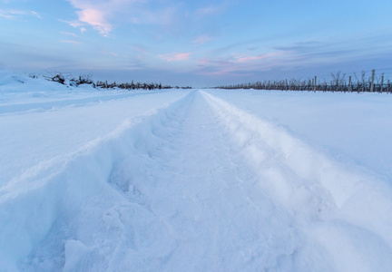 在雪地轮胎轨道