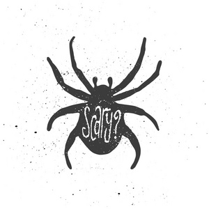 蜘蛛里可怕的字母。