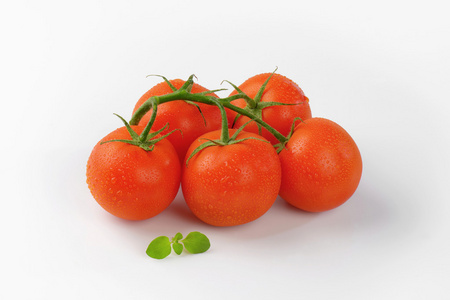 湿新鲜番茄