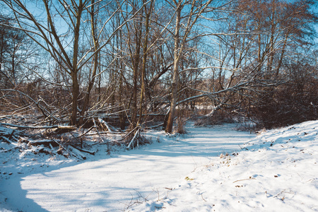 阳光明媚的冬日森林中的雪覆盖的河流