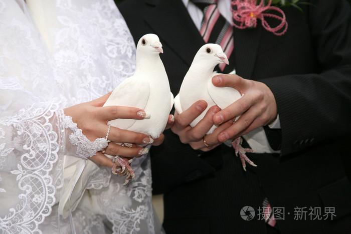 两个白色的鸽子在新婚夫妇手中关闭