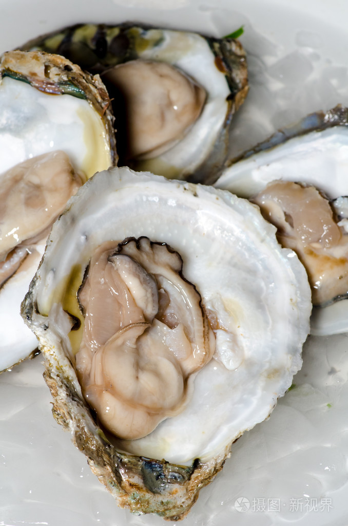冰特写新鲜生蚝