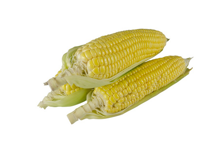 玉米上白色后台孤立图片