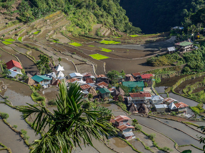 巴 Batad 水稻梯田，菲律宾