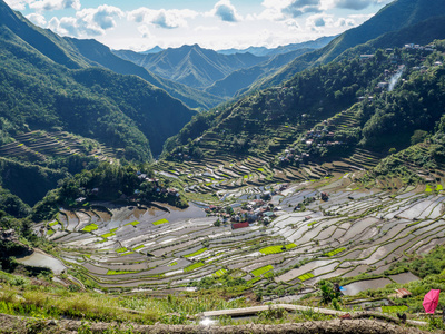 巴 Batad 水稻梯田，菲律宾