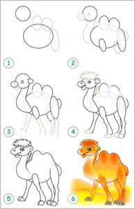页显示如何一步一步一步学会画骆驼