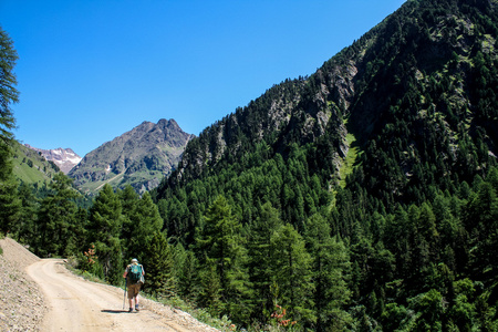 山区公路。奥地利阿尔卑斯山