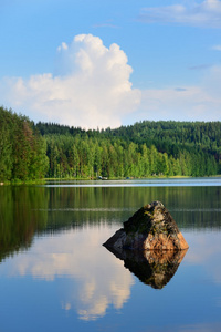 在芬兰 saimaa 湖