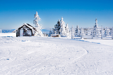 与高山小木屋，白色松树，栅栏 雪场，山度假农村冬天背景