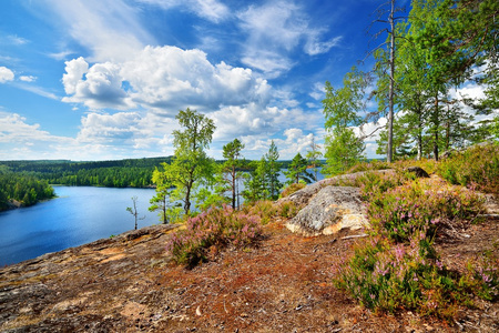 Saimaa 湖的景观