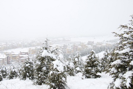 城市在雪中