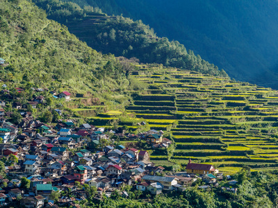 巴 Batad 水稻梯田，菲律宾