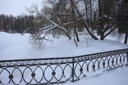 铁栅栏冬桥圣彼得堡巴甫洛夫斯克公园, 俄罗斯