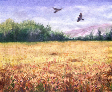 小麦的夏天视图字段和飞翔的鸟儿