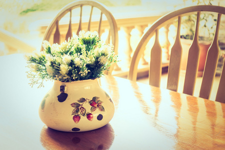 花瓶植物与户外景观图片