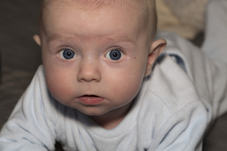 Beaiutiful 四个月大婴儿的肖像