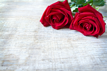 Woonden 背景上的红玫瑰。情人节那天，周年纪念等