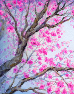 花枝上的鸟美丽的鸟儿在花枝上.水彩绘画照片