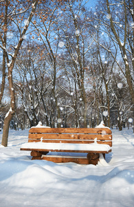 冬季城市公园的木制长凳。 晴天和雪。