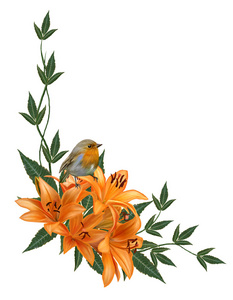 橙色的花百合，绿色的叶子和小黄鸟安排