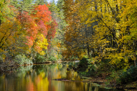 秋天的红叶林维尔河沿岸