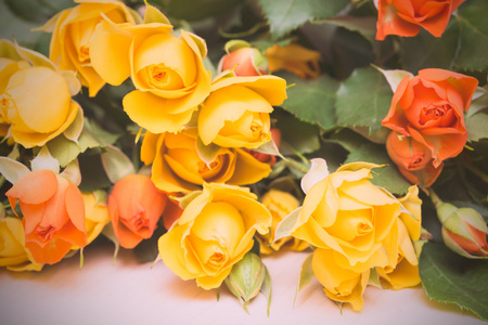 浅木背景上的黄色和橙色玫瑰。妇女  s d
