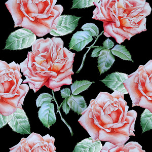 无缝模式与水彩玫瑰