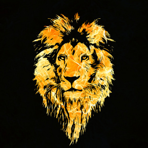 狮子在火火焰照片