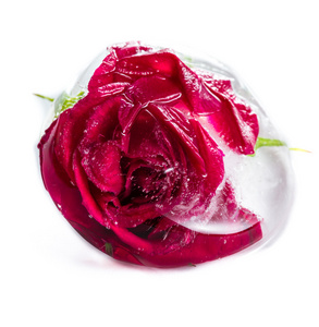 小冰块小冻在冰块中的红玫瑰照片