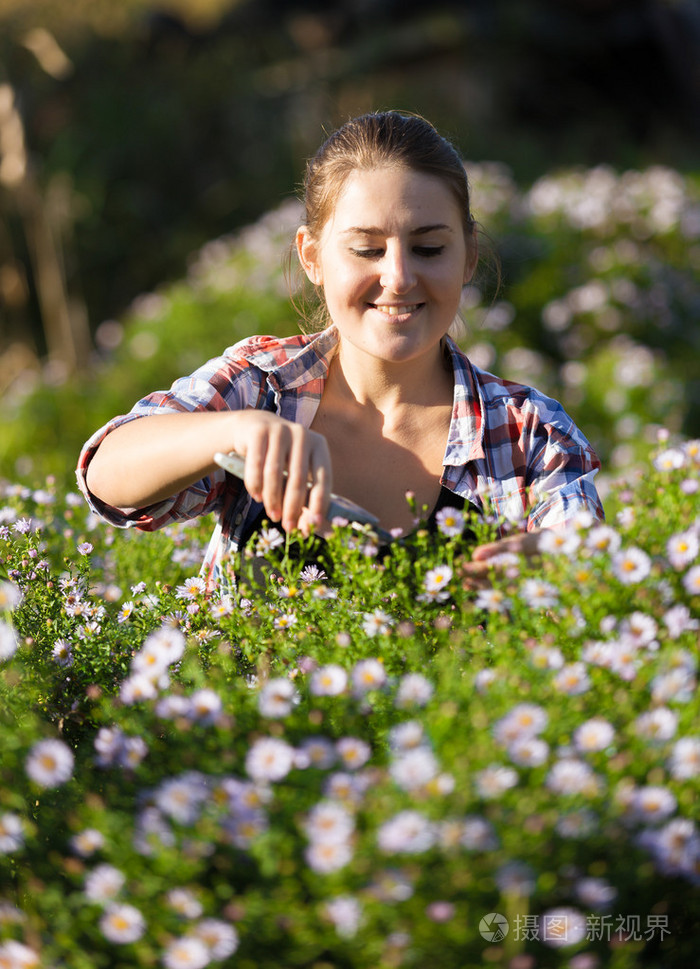 在花园里的女人切花的微笑着阳光灿烂的日子