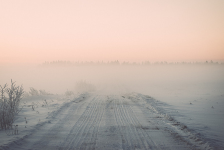 在寒冷的早晨老式的影响冬季雾国家字段