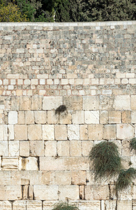 耶路撒冷的哭墙