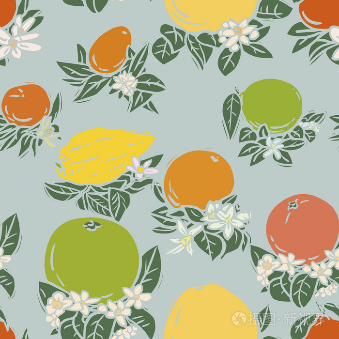 各种热带柑橘水果插画-正版商用图片1lu7xj-摄图新视界