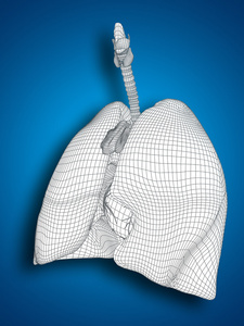 线框网格呼吸系统