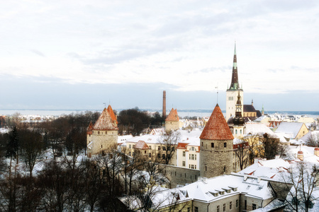 塔林的全景视图。爱沙尼亚
