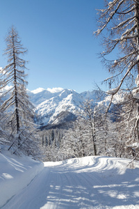 舒适的冬天场景与雪覆盖在山的树