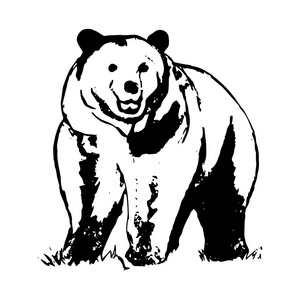 棕熊0模式抽象