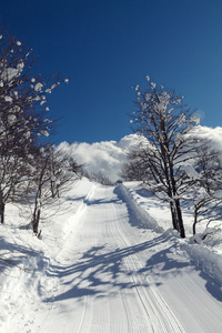 舒适的冬天场景与雪覆盖在山的树