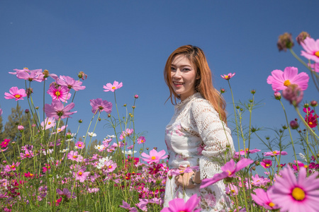 波斯菊花田的女人