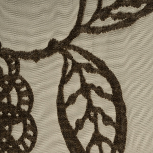 织物纹理图像的背景