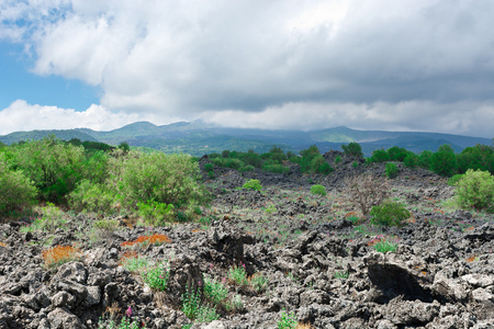 在西西里岛的埃特纳火山