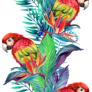 水彩鹦鹉与热带花卉无缝模式