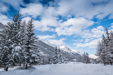 在意大利阿尔卑斯山的冬天多雪景观