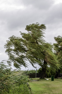 风顺巴拉顿湖在刮风的日子照片