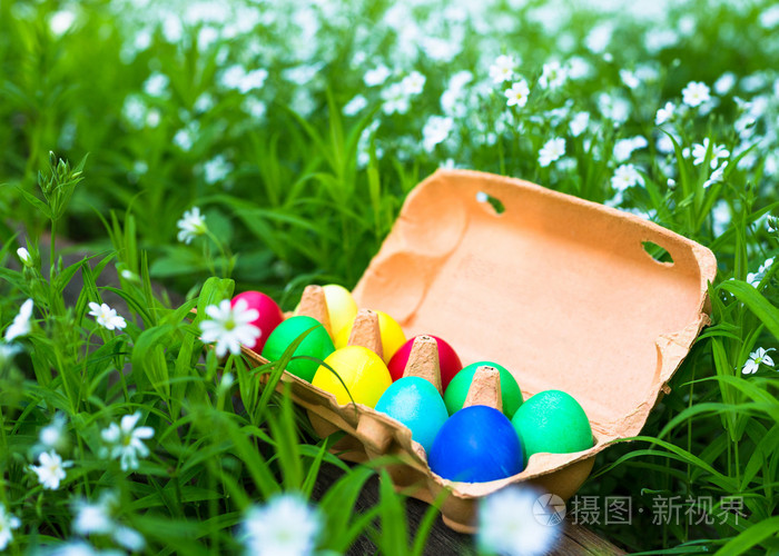 复活节彩蛋的草地上一篮子