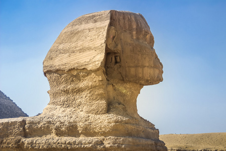 在埃及的 Sphinxe