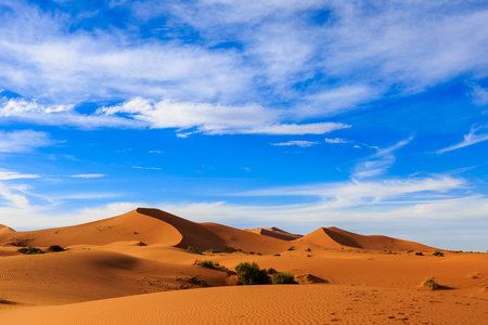 撒哈拉沙漠，摩洛哥